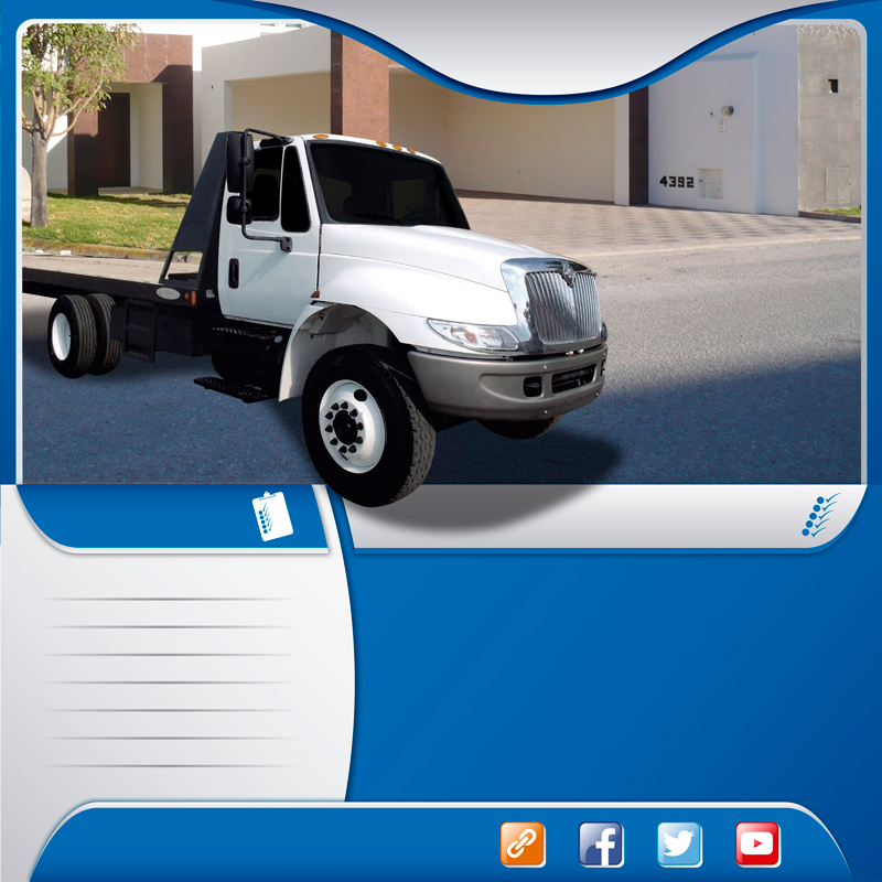  Autotransportes en camión rabon plataforma