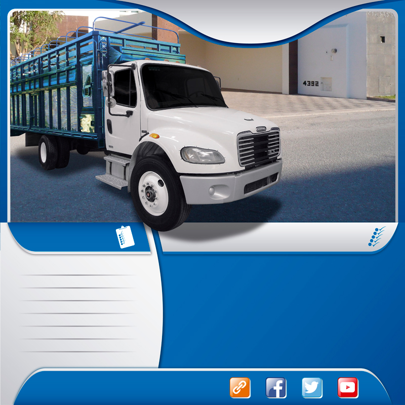  Autotransportes en camión rabon redilas fijas