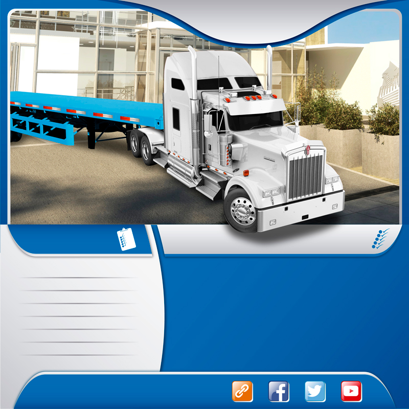  Autotransportes en camión trailer plataforma