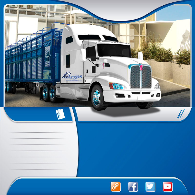  Autotransportes en camión trailer redilas